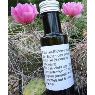 Baldrianextrakt aus eigener Herstellung !