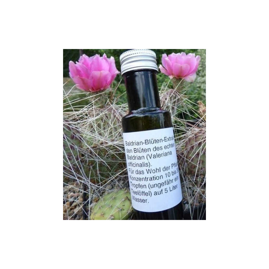 Baldrianextrakt aus eigener Herstellung !