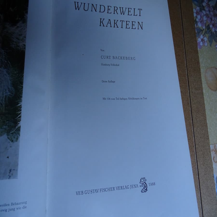 Wunderwelt Kakteen