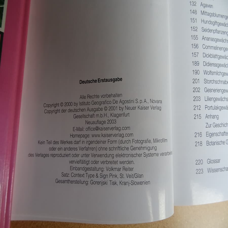 Kakteen Und andere beliebte Sukkulenten