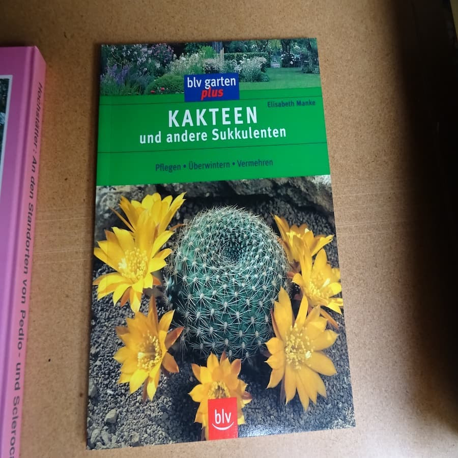 Kakteen und andere  Sukkulenten