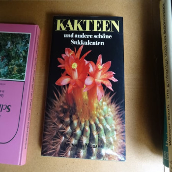 Kakteen und andere schöne Sukkulenten