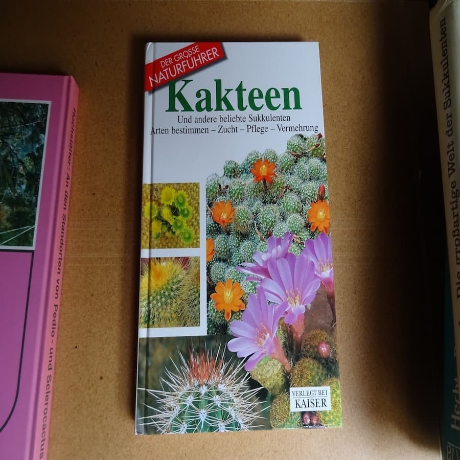 Kakteen Und andere beliebte Sukkulenten