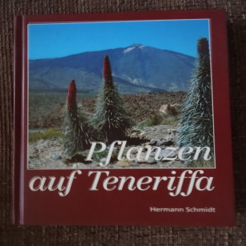 Pflanzen auf Tenriffa