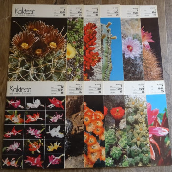Monatszeitschriften der DKG 1984