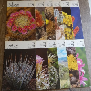 Monatszeitschriften der DKG 1985