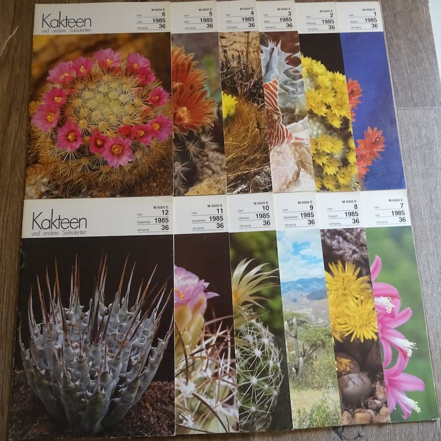 Monatszeitschriften der DKG 1985