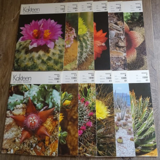 Monatszeitschriften der DKG 1990