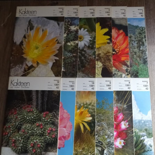 Monatszeitschriften der DKG 1991