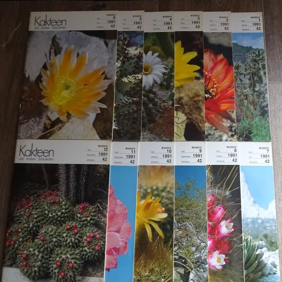 Monatszeitschriften der DKG 1991