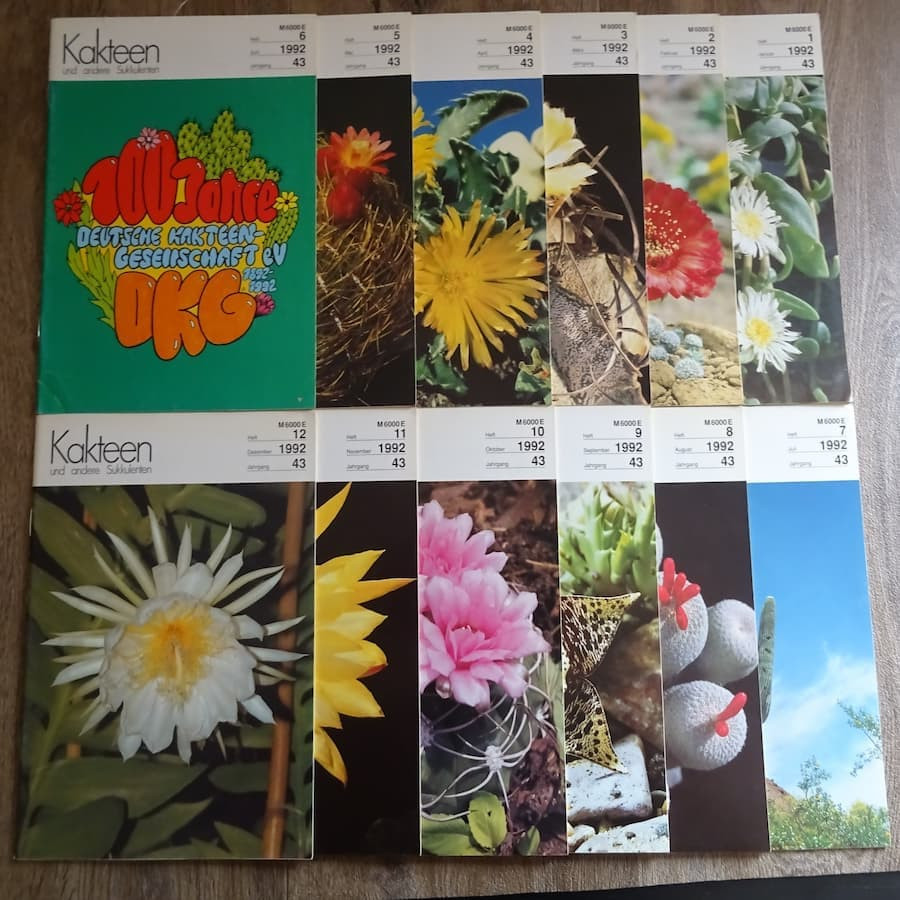 Monatszeitschriften der DKG 1992