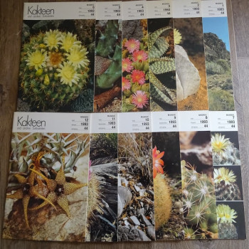 Monatszeitschriften der DKG 1993