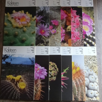 Monatszeitschriften der DKG 1994