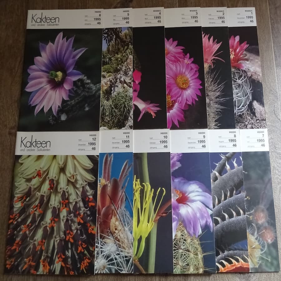 Monatszeitschriften der DKG 1995