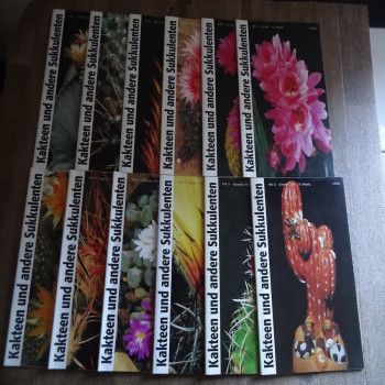 Monatszeitschriften der DKG 1999