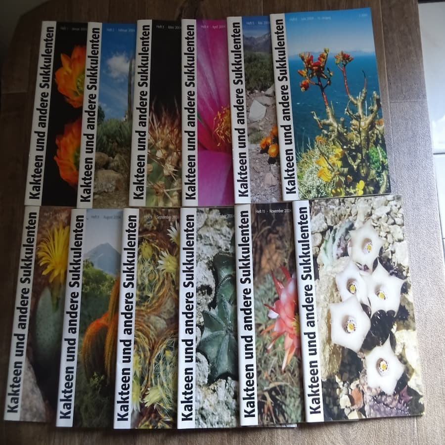 Monatszeitschriften der DKG 2004