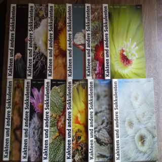 Monatszeitschriften der DKG 2010