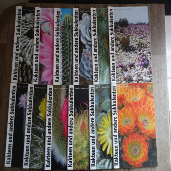 Monatszeitschriften der DKG 2012