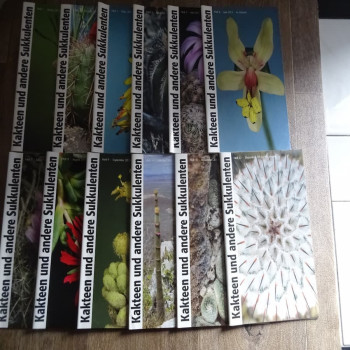 Monatszeitschriften der DKG 2013