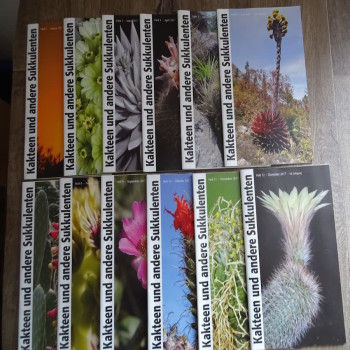 Monatszeitschriften der DKG 2017