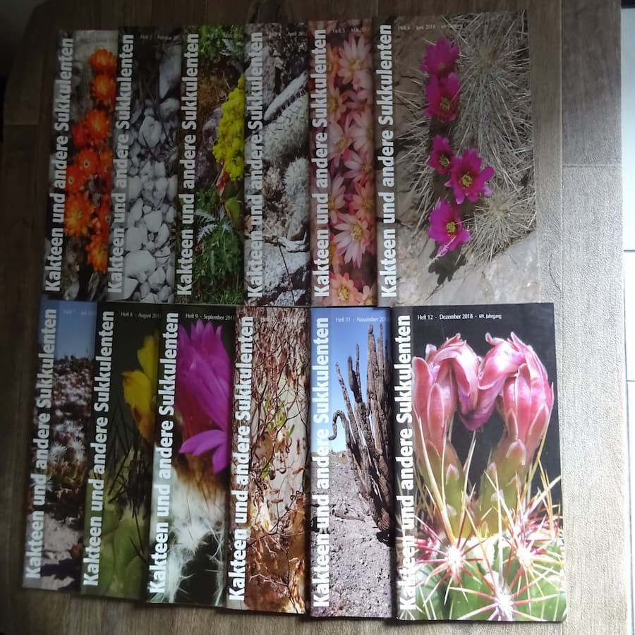 Monatszeitschriften der DKG 2018