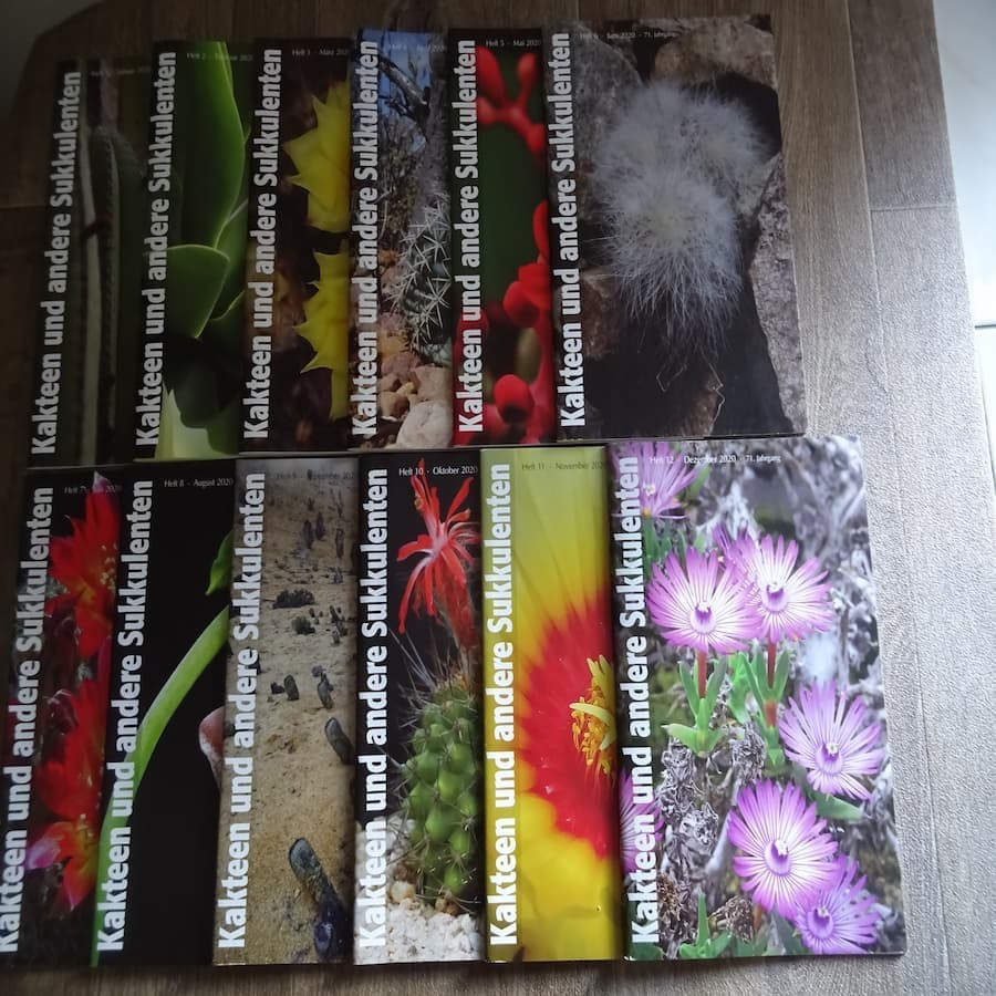 Monatszeitschriften der DKG 2020