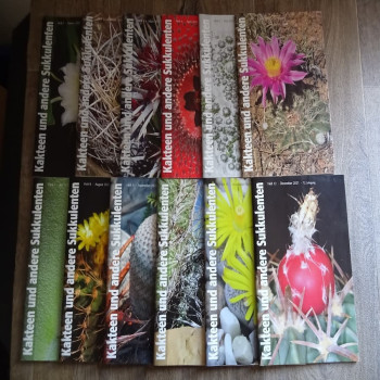 Monatszeitschriften der DKG 2021