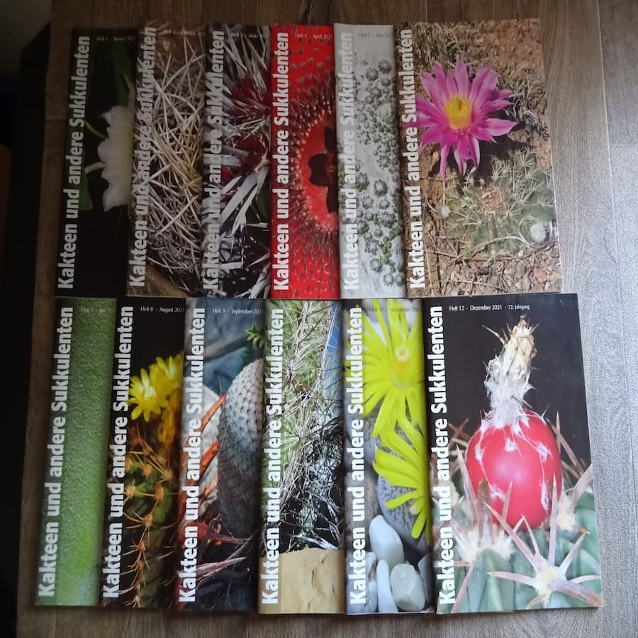 Monatszeitschriften der DKG 2021