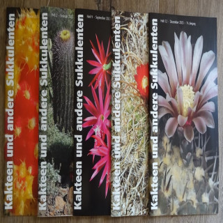 Monatszeitschriften der DKG 2023