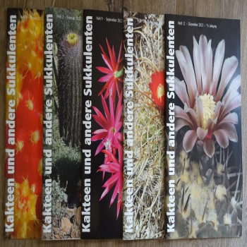 Monatszeitschriften der DKG 2023